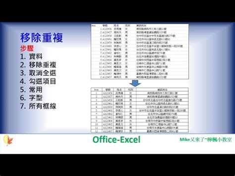 excel 移除重複 公式